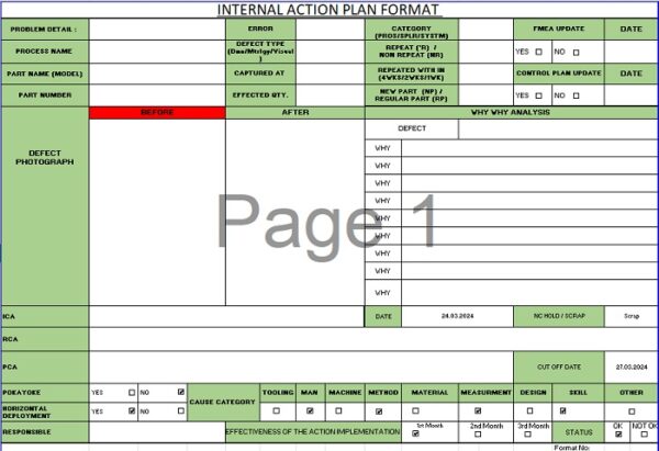 Internal Action Plan Format